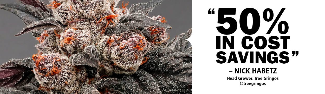 FloraPro Testimonial Image #3