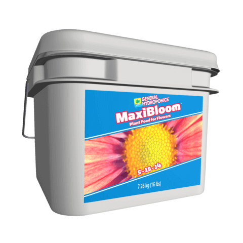 MaxiBloom™