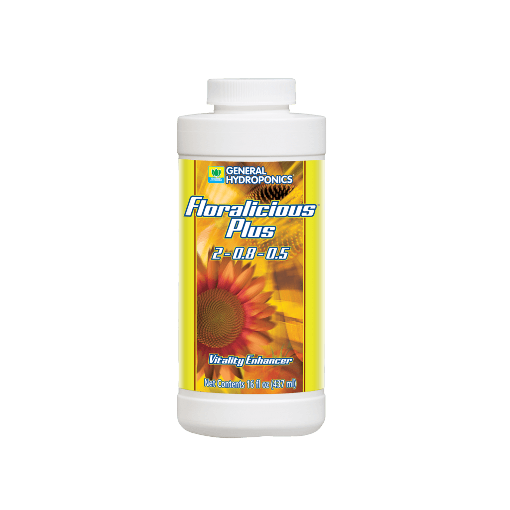 残り2本Floralicious Plus 1 Gallon 残り2本Floralicious Plus 1 Gallon 【公式通販】