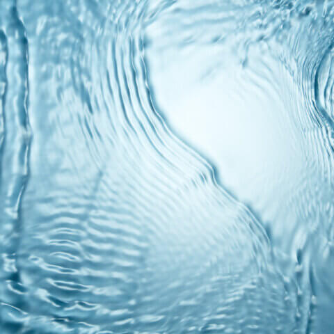 FAQs About Water and Hydroponics