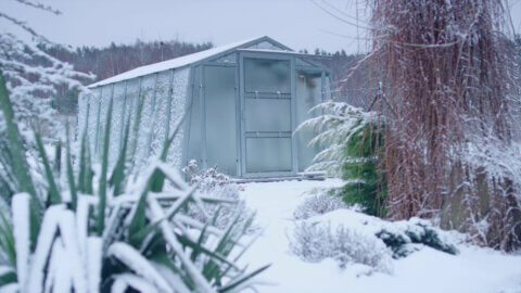 How to winterize your garden