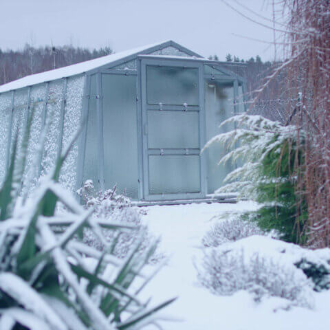 How to winterize your garden